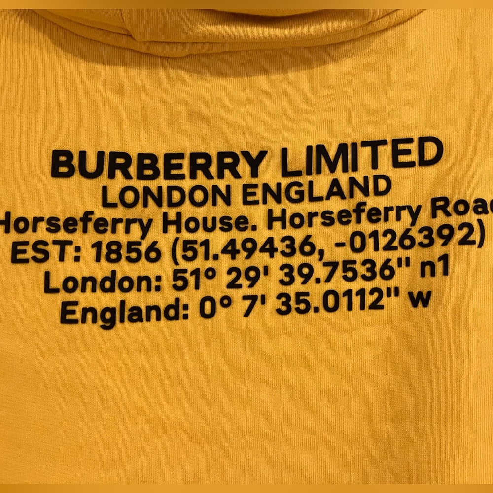 Burberry rubber letters hoodie